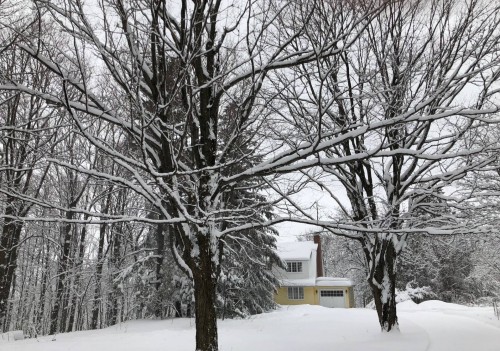 Overall view - 47 Ch. Ozias-Leduc, Mont-Saint-Hilaire, QC - Outdoor