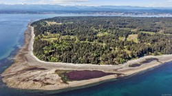 264 Sutil Rd Quadra Island, BC V0P 0A8
