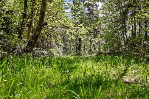 264 Sutil Rd, Quadra Island, BC 
