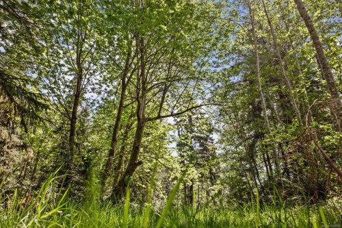 264 Sutil Rd, Quadra Island, BC 