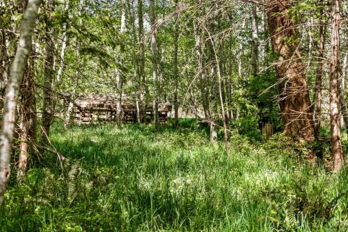264 Sutil Rd, Quadra Island, BC 