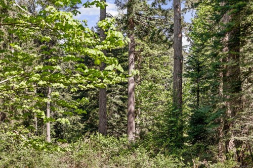 264 Sutil Rd, Quadra Island, BC 