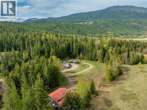 3381 Trinity Valley Road, Enderby, BC - Outdoor With View