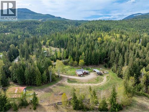 3381 Trinity Valley Road, Enderby, BC - Outdoor With View