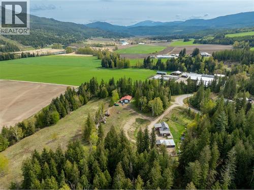 3381 Trinity Valley Road, Enderby, BC - Outdoor With View