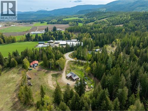 3381 Trinity Valley Road, Enderby, BC - Outdoor With View