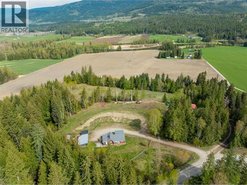 3381 Trinity Valley Road, Enderby, BC - Outdoor With View