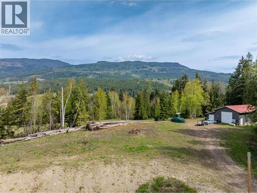 3381 Trinity Valley Road, Enderby, BC - Outdoor With View