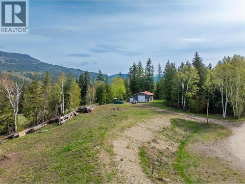 3381 Trinity Valley Road, Enderby, BC - Outdoor With View