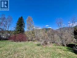 3297 Vindusky Road Nelson, BC V1L 6X7