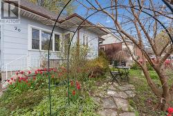 26 SYDNEY STREET N  Kitchener, ON N2H 3L5