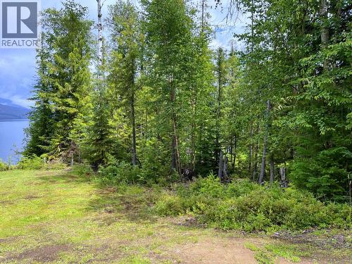 5517 Marshall Creek Road, Horsefly, BC - Outdoor