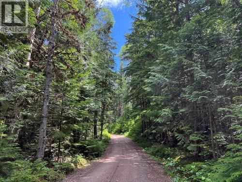 5517 Marshall Creek Road, Horsefly, BC - Outdoor With View