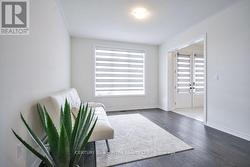 Living room - 