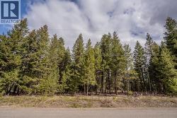 LOT 5 PARK PLACE Lac La Hache, BC V0K 1T1