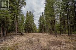 LOT 6 PARK PLACE Lac La Hache, BC V0K 1T1