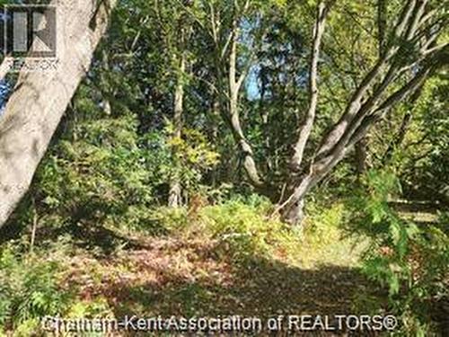 23040 DOHERTY STREET  Chatham-Kent, ON N0P 1V0