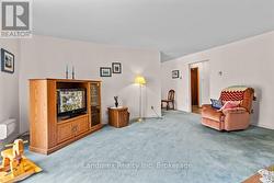 Large Living Room - 