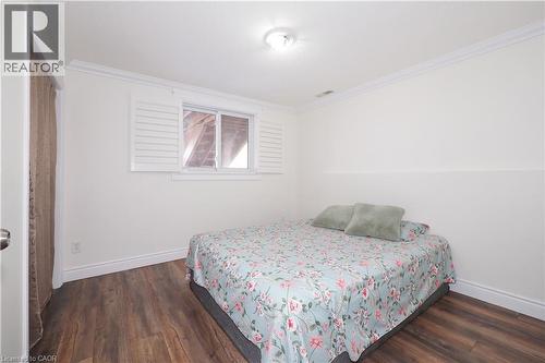 Room featuring wood-finish flooring, crisp white walls, crown molding, and a window with white louvered shutters - 67 Hollyridge Crescent Unit# Lower, Kitchener, ON - Indoor Photo Showing Bedroom