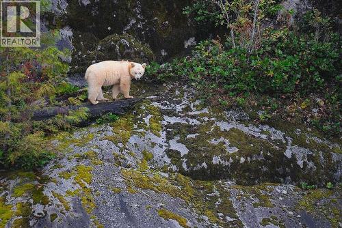 Lot 15 Kimsquit, Bella Coola, BC 