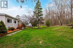 Back yard - 