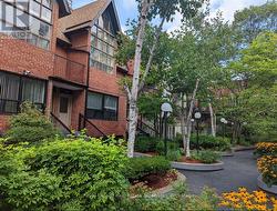 10 - 17 PEMBROKE STREET Toronto, ON M5A 2N6