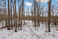 0 HILLTOP ROAD Frontenac (Frontenac Centre), ON K0H 2E0