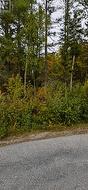 NONE SWEEZEY STREET Powassan (Trout Creek), ON P0H 2L0