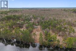 290 HENNESSY TRAIL Whitewater Region, ON K0J 2L0