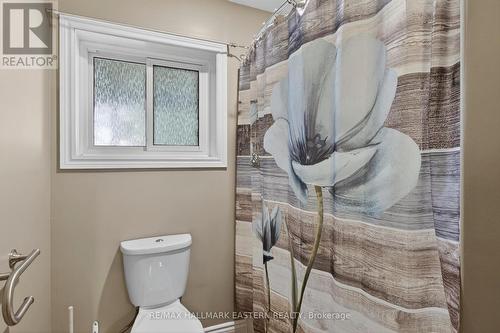 Lower 4 pc bath (#5) - 1229 Morton Line, Cavan Monaghan (Cavan Twp), ON - Indoor Photo Showing Bathroom