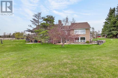 Soccer anyone? - 1229 Morton Line, Cavan Monaghan (Cavan Twp), ON - Outdoor