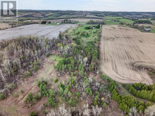 Back forested area with cleared area - 1229 Morton Line, Cavan Monaghan (Cavan Twp), ON - Outdoor With View