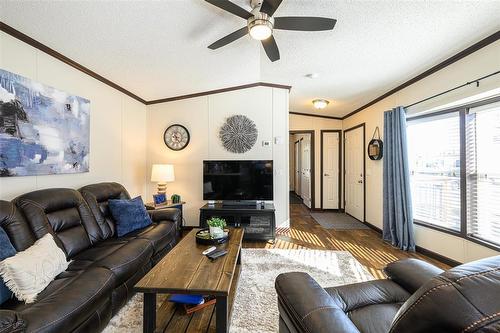 87 Springwood Drive, Winnipeg, MB - Indoor Photo Showing Living Room