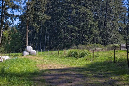 378 Rainbow Rd, Salt Spring, BC 