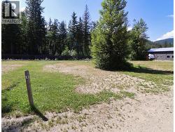 1701 Ireland Road Unit# 3 Seymour Arm, BC V0E 1M9
