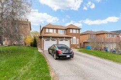 Bsmt-161 Chambers Crescent Newmarket, ON L3X 1S9