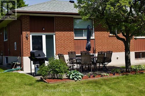 Fruit Trees - 163 Floradale Drive, Mississauga, ON 