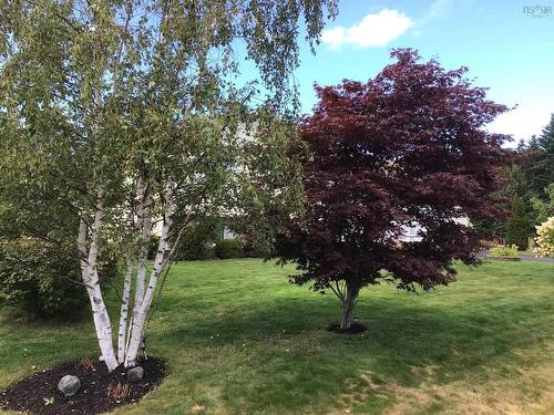 2 Willis Avenue, Coxheath, NS 