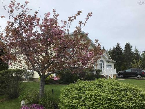 2 Willis Avenue, Coxheath, NS 