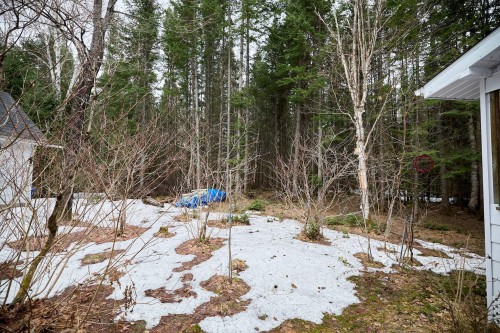 Extérieur - 26 Ch. Houle, Saint-Donat, QC - Outdoor