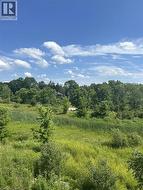 Expansive natural landscape featuring varied green foliage - 
