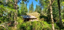 226 Bold Point Rd Quadra Island, BC V0P 1H0