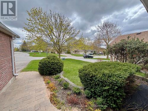 168 Willow Lane, Newmarket, ON - Outdoor