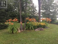 Client Supplied Summer Picture of Lakeside Garden - 