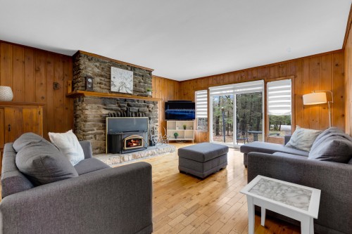 Salon - 901 Ch. De Dunany, Lachute, QC - Indoor Photo Showing Living Room With Fireplace