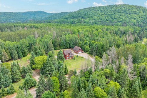 Vue d'ensemble - 371 Ch. Maskinongé, Amherst, QC - Outdoor With View