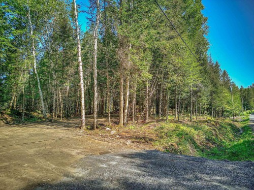 Terre/Terrain - Ch. Du Lac-Chaud, La Macaza, QC 