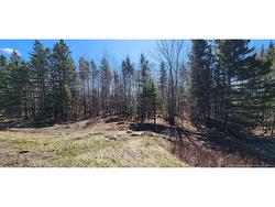 47950 Chemin Homestead RD Moncton, NB E1G 2P7
