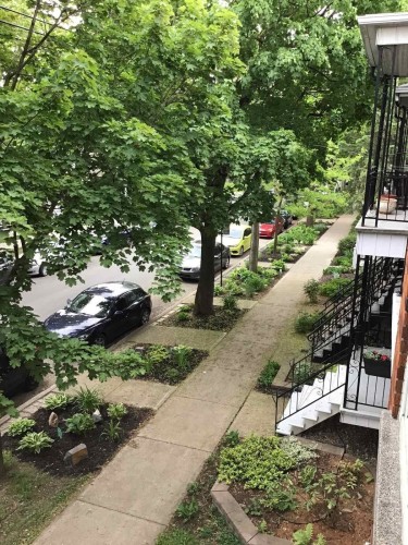 View - 1-6322 Av. Des Érables, Montréal (Rosemont/La Petite-Patrie), QC - Outdoor