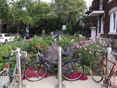 Other - 1-6322 Av. Des Érables, Montréal (Rosemont/La Petite-Patrie), QC - Outdoor